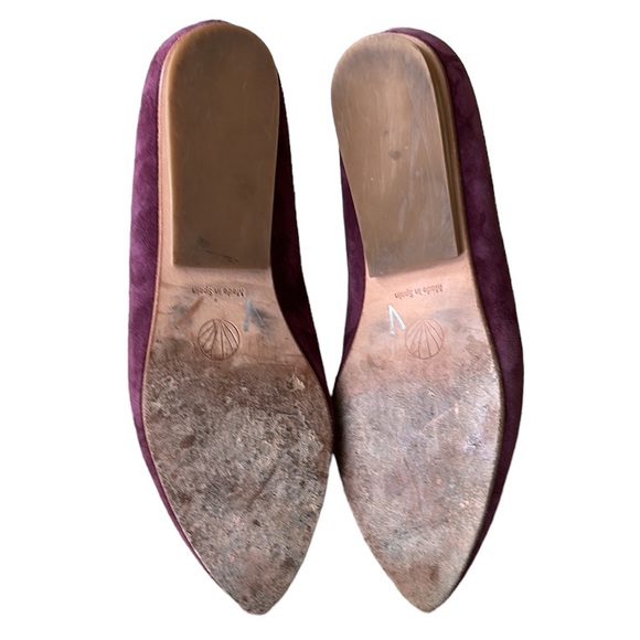 Coclico Spain Dofe Suede Leather Pointed Toe Loafers Flats in Raisin - 39 - 8.5 - Picture 13 of 16